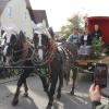 Die Gespanne mit den prachtvoll geschmückten Pferden und Wägen begeisterten die Zuschauenden beim Umzug am Sonntag in Unterliezheim.