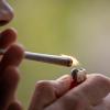 Der Bundestag beschäftigt sich in dieser Woche mit der Cannabis-Legalisierung.