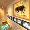 Das Bayerische Bienenmuseum in Illertissen lockt jedes Jahr 10.000 Besucher an. 