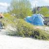 Da brachten sie den Staufenern den Maibaum wieder zurück: Die Jungs der Lauinger Hütte haben in der Nacht zum Montag nicht nur im Syrgensteiner Ortsteil, sondern auch in Oberbechingen zugeschlagen. 