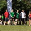 Insgesamt 150 Duos aus Mensch und Tier gingen bei der bayerischen Meisterschaft der Hundesportler in Königsbrunn an den Start. 	