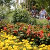 Der Kreismustergarten in Weißenhorn besteht seit 30 Jahren. Dort holen sich Hobbygärtner regelmäßig Anregungen für ihre eigenen Gärten. Ein kleines Jubiläum begeht auch der Gartenbau-Kreisverband: Ihn gibt es seit 120 Jahren.