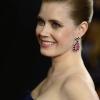 Amy Adams: 
13 Millionen Dollar. 
Sie war Co-Darstellerin in der Comic Verfilmung "Superman: Man of Steel". Ebenso erhielt sie ihren fünften Oscar als "Best Supporting Actress".