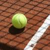 Große Aufregung gab es in den Tennisclubs der Stadt nach der am Freitag verordneten Hallenschließung. 
