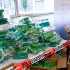 Kokain in rauen Mengen: Eine halbe Tonne der Droge wurde in Bananenkisten in Neu-Ulm entdeckt. Bei einem spektakulären Einsatz nahm die Polizei sechs Männer fest.