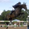 Am Wochenende finden beim Reitclub Ulrichshof in Königsbrunn wieder die schwäbischen Meisterschaften im Springreiten statt. Prüfungen bis zur Klasse S warten dabei auf Pferd und Reiter. Gut 600 Nennungen liegen für das Turnier vor.  	