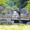 Eine Oase der Ruhe und ein Geschenk der japanischen Partnerstädte an die Stadt Augsburg zu deren 2000-jährigem Jubiläum 1985: der Japanische Garten, ein Teil des Botanischen Gartens. 