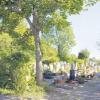 Im Zuge der Bauerhaltungsmaßnahmen 2011 wird auf Beschluss des Gemeinderats auch der Zugangsbereich zum Friedhof Thalfingen erneuert. 