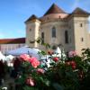 Was für eine Kulisse: Die „Diga“ Gartenmesse ist seit 2004 fest etabliert. Mit dem Ticket lässt sich auch die beeindruckende Klosteranlage von Wiblingen besichtigen.  	