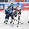 Die Panther-Duelle zwischen Ingolstadt (mit Brian Gibbons, links) und Augsburg (rechts Ryan Kuffner) zählen für die Eishockey-Fans aus unserer Region zu den Saison-Höhepunkten.