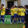 Der FC Pipinsried kickt die Münchner Löwen im Viertelfinale aus dem Toto Pokal.