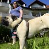 Kerstin Hochhaus aus Günzburg hat immer Tüten dabei, wenn sie mit ihrem sieben Monate alten Mops „Knödel“ Gassi geht. Dann wird darin das große „Geschäft“ aufgelesen.