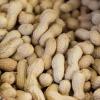 Erdnüsse schmecken gut und sind gesund. Wie viele Vitamine und Mineralstoffe stecken drin?