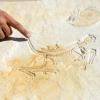 Dieser Abdruck des Urvogels Archaeopteryx ist rund 153 Millionen Jahre alt. Er und seine fliegenden Artgenossen stehen im Zentrum des diesjährigen Archaeopteryx-Sommers von fünf Museen in der Region.