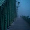 Die Freiheitsbrücke in Budapest ist in den frühen Morgenstunden in blaues Dämmerlicht getaucht. 	„Dieser Zustand kann nur durch immer mehr politische Unterdrückung bewahrt werden.“