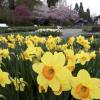 Die Stadt hebt die Eintrittspreise für den Botanischen Garten. Die neue Regelung gilt ab Juni.	