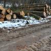 Im Finninger Staatswald wird derzeit gerade der Wintereinschlag durchgeführt. Vor allem dicke Eichen werden gefällt, gerückt und dann bei einer Versteigerung in Bopfingen ausgelegt. Die Waldarbeiter hinterlassen Spuren – das stößt bei manchen Bürgern auf Kritik.  	

