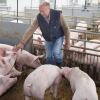 Im Stall von Landwirt Josef Gelb aus Steinach leben 1400 Schweine. Auch er fürchtet um seinen Bestand, sollte sich die Afrikanische Schweinepest auch in Deutschland ausbreiten. 
