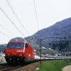 Ein Eurocity der Schweizerischen Bundesbahnen SBB auf der Fahrt durch das Tessin.