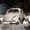 Toni und Jutta Miller aus Wollmetshofen fuhren mit ihrem VW Käfer, Baujahr 1958, durch die Lande. Auch heute fährt das Paar mit dem Käfer gerne zum Oldtimertreffen. Bereits im Jahr 1953 wurde das geteilte Rückfenster des „Brezelkäfers“ durch ein einteiliges Ovalfenster ersetzt, dem 1957 ein größeres rechteckiges Heckfenster folgte.