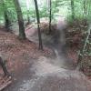 Die Mountainbiker hinterlassen im Derchinger Forst ihre Spuren.