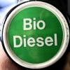 Derzeit ist unklar, ob die Erhöhung des Anteils an Bioethanol im Sprit von allen Autos verkraftet wird.