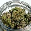 Im Eigenanbau soll die erlaubte Menge von 25 auf 50 Gramm getrocknetes Cannabis verdoppelt werden.