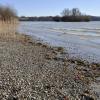 Kiesufer und Schilfbestände prägen wie hier bei Eching den Ammersee. Bestimmte Areale sind im Flora-Fauna-Habitatgebiet „ Ammerseeufer und Leitenwälder“ besonders geschützt. 