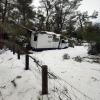 Im Norden von Mallorca ist ein Wohnmobil von einem durch Schnee eingestürzten Baum eingeklemmt. Eine Familie mit zwei kleinen Kindern konnte in Sicherheit gebracht werden.