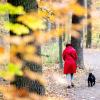 Ein Herbstspaziergang mit dem Hund: In und um Augsburg gibt es dafür einige geeignete Stellen.