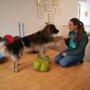 Tina Goldstein, Osteopathin und Physiotherapeutin für Hunde, behandelt Vierbeiner in ihrer neuen Praxis in Friedberg.
