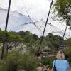 Die Vogelvoliere im Augsburger Zoo ist zu einem Höhepunkt geworden. Fans der gefiederten Tiere können sich über einige Neuigkeiten freuen. 