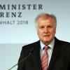 Bundesinnenminister Horst Seehofer will das Bundesamt für Migration und Flüchtlinge von Grund auf reformieren.