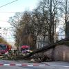 Unglück am Sonntag: Ein Orkan knickte diesen Baum am Königsplatz um. Zum Glück wurde niemand verletzt.