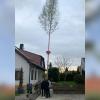 Ein Baum für die Liebste gab es auch von Janine Sauler aus Mörslingen von ihrem Freund Niklas Weißenböck aus Steinheim.
