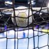 Gleich mehrere Teams dürfen sich bei der  Handball-Weltmeisterschaft vom 11. bis 29. Januar in Polen und Schweden Hoffnungen auf den Titel machen.