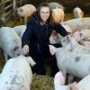 Dass es die Schweine auf ihrem Hof gut haben, ist Landwirtin Katharina Röger wichtig. Sie sagt: Die Tiere sollen sich wohlfühlen. Doch am Ende ist klar, dass sie sterben müssen. 