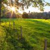 Bewegung an der frischen Luft macht glücklich. Im Unterallgäu sollen deshalb spezielle „Glückswege“ ausgewiesen werden. 	