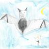 Anika Schön ist neun Jahre alt und geht ebenfalls auf die Bissinger Grundschule. Sie hat uns diese schöne Fledermaus gezeichnet. 