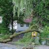 Ein großer Ast der Weide am Mühlbach in Altenstadt war auf den Boden gefallen, ein weiterer hing lose in der Baumkrone.  