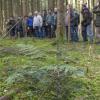 Die Waldbesitzervereinigung Landsberg war auf Exkursion. Im Wald zwischen Stadl und Mundraching begaben sich die Teilnehmer auf die Suche nach der Weißtanne.