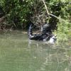 Polizisten fanden die Leiche im Mai 2017 in einem Baggersee.  	