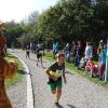 Bei bestem Wetter starteten am Sonntag viele kleine und große Läufer beim Meringer Marktlauf des TVM.