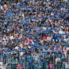 Noch hoffen die Fans vom Hamburger SV auf das Wunder Klassenerhalt in der Fußball-Bundesliga.