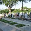 Auf dem Holzheimer Friedhof sollen weitere Flächen für Urnenerdgräber ausgewiesen werden.