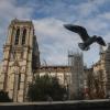 Eine Möwe fliegt an der Kathedrale Notre-Dame vorbei. Die bei einem Brand schwer beschädigte Pariser Kathedrale ist nach Ansicht von Frankreichs Kulturministerin Bachelot gerettet. 