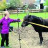 Viel Aufmerksamkeit verlangt Pony Bobby von Melanie. Das kleine Pferd soll der 23-Jährigen helfen, sich noch mehr zuzutrauen.