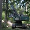 Bei der Holzernte, egal ob mit dem Harvester (Bild) oder motormanuell und mit dem Schlepper, man sollte immer auf eine gute Erschließung achten und nicht durch die Bestände fahren. Das empfiehlt das Forstamt. 	