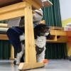 Hunde in Schulen sind im Augsburger Land keine Ausnahme mehr.