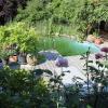 Ein kleiner Schwimmteich, Sonnenliegeplätze, die Terrasse versteckt hinter wildem Wein, alles umrahmt von Zitronen-, Orangen- und Olivenbäumen - das ist Sommer in Thannhausen.
